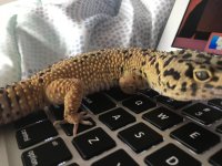 IMG_3696.jpg IMG_3696.jpg