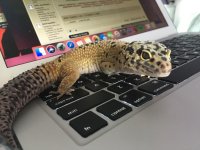 IMG_3697.jpg IMG_3697.jpg