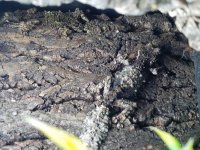 20180706_064924.jpg
