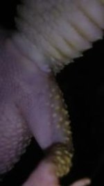 Screenshot_20180729-202455_zpsxbg4nli6.jpg
