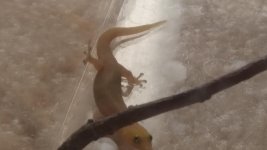 20180805_161214.jpg 20180805_161214.jpg