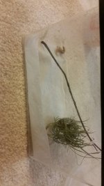 IMG_20180807_233219_304.jpg IMG_20180807_233219_304.jpg