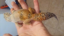 20180829_100641.jpg