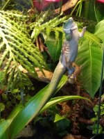 IMG_20180904_144147133.jpg