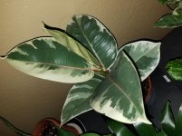 20180908_204714.jpg