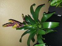 20180908_204724.jpg