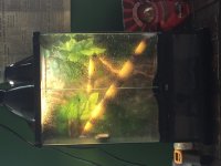 IMG_2561.jpg