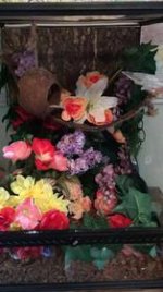IMG_2129.jpg