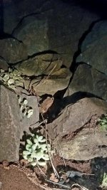 20181222_054450.jpg