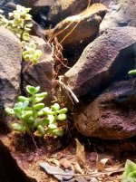 20181229_151930.jpg