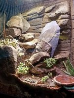 20181229_151940.jpg