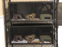 41BD48B5-130F-4BD8-B13B-26BB4B960FA9.jpg 41BD48B5-130F-4BD8-B13B-26BB4B960FA9.jpg