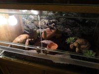 IMG_20181222_182257.jpg IMG_20181222_182257.jpg