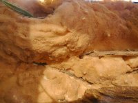 DSCF5485.jpg