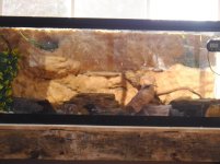 DSCF5488.jpg