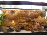 DSCF5495.jpg