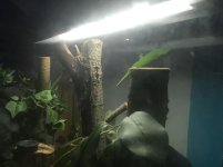 IMG_8163.jpg
