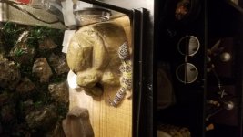 20190304_211034.jpg 20190304_211034.jpg