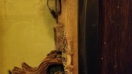 20190318_201611.jpg 20190318_201611.jpg