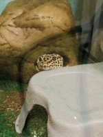 0F04F9F2-6A3D-49DF-AE6D-0A6677A0A9AB.jpg 0F04F9F2-6A3D-49DF-AE6D-0A6677A0A9AB.jpg
