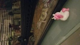 20190607_220630.jpg 20190607_220630.jpg