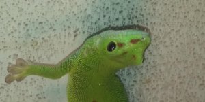 20190621_180559.jpg