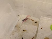 MVIMG_20190606_195914.jpg MVIMG_20190606_195914.jpg