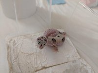 MVIMG_20190609_135920.jpg MVIMG_20190609_135920.jpg