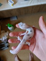 MVIMG_20190622_140620.jpg MVIMG_20190622_140620.jpg