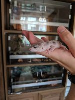 MVIMG_20190622_163517.jpg MVIMG_20190622_163517.jpg