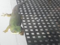 20190622_111455.jpg 20190622_111455.jpg
