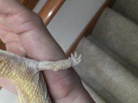Friday_closer_up_on_peeling_foot.jpg Friday_closer_up_on_peeling_foot.jpg