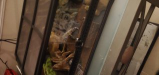 20190823_220429.jpg 20190823_220429.jpg