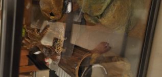 20190823_220419.jpg 20190823_220419.jpg