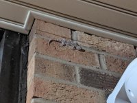 IMG_20190817_014030.jpg