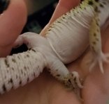 20190824_222145.jpg 20190824_222145.jpg