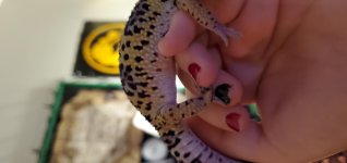 20190824_222039.jpg 20190824_222039.jpg