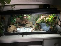 Leo enclosure.jpg