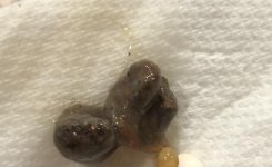 Screen Shot 2020-01-03 at 1.41.23 AM.jpg