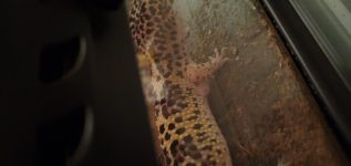 20200314_200556.jpg 20200314_200556.jpg