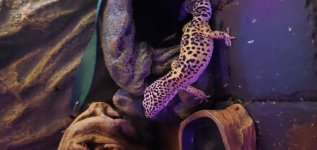 20200223_005211.jpg 20200223_005211.jpg