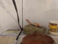 MVIMG_20200327_151043.jpg MVIMG_20200327_151043.jpg