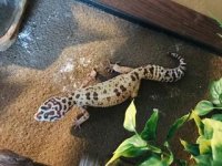 EFA59A50-894B-4C61-A690-2137450DCAE2.jpg EFA59A50-894B-4C61-A690-2137450DCAE2.jpg