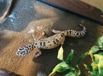 B4633748-BE3D-48F2-BA29-D008D5DC290D.jpg B4633748-BE3D-48F2-BA29-D008D5DC290D.jpg