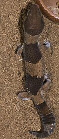 AE6D8F23-31D2-444E-B844-426FF75A2BE8.jpg
