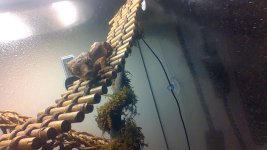 IMG_20201008_225334.jpg