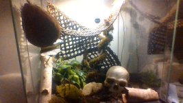 IMG_20201008_231238.jpg