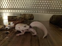 PXL_20201102_223939940.MP.jpg PXL_20201102_223939940.MP.jpg