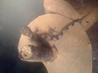 20201113_192836.jpg