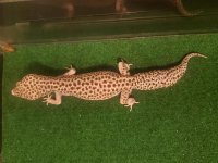 20201221_104517.jpg 20201221_104517.jpg